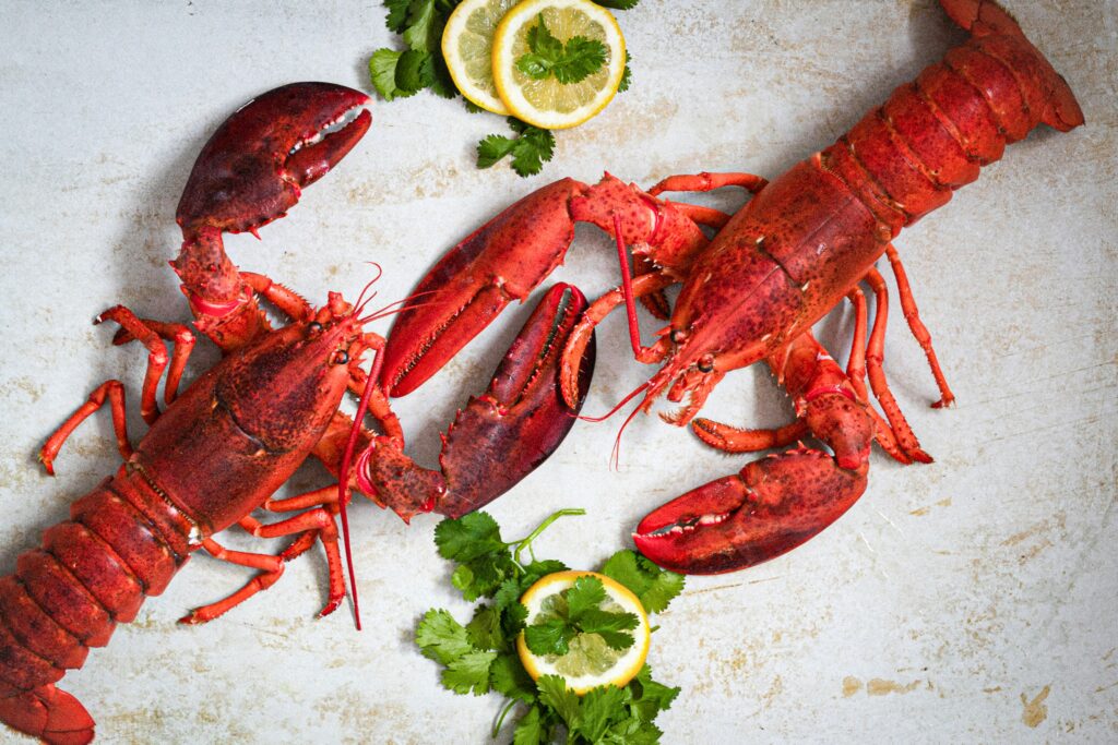 Freshly cooked lobster tails seasoned with garlic butter, highlighting juicy meat and a golden seafood presentation.
