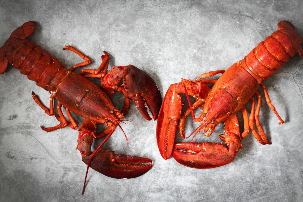 Perfectly cooked lobster tails with herbs and butter, featuring tender meat and an elegant seafood dinner presentation.